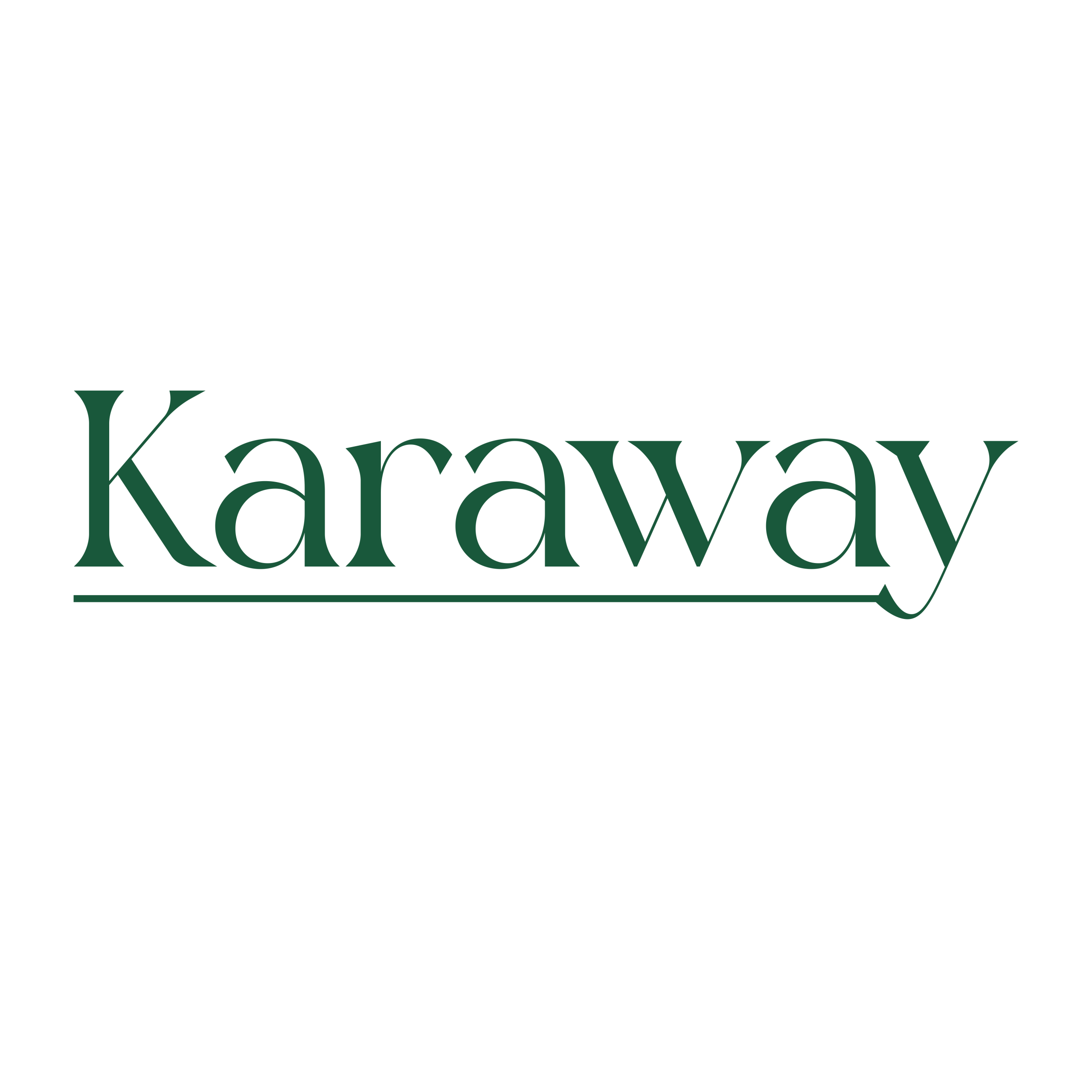 کاراوی دریم